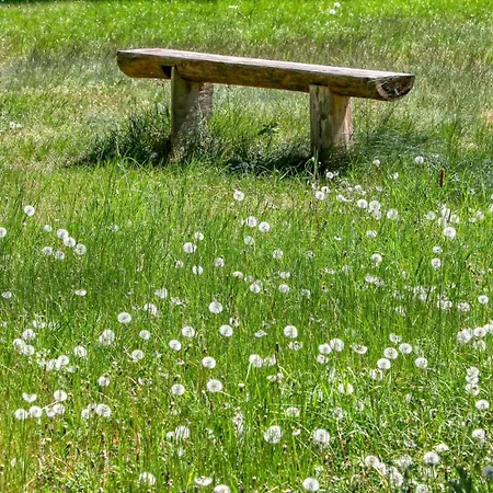 Wokuhl-dabelow Appartamento *